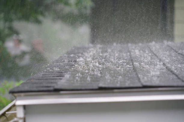 Best Green or Eco-Friendly Roofing Solutions  in Hartford, MI