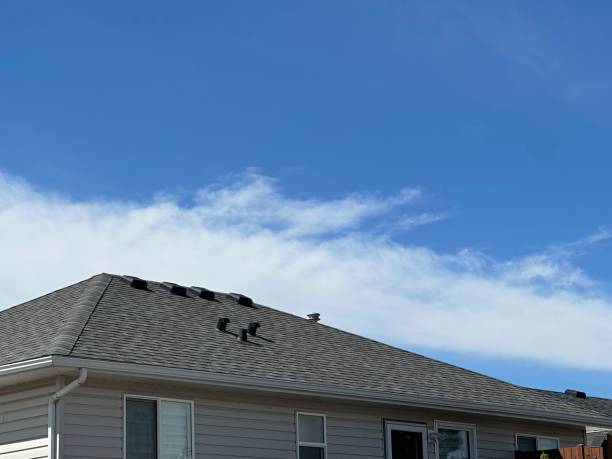Professional Roofing Service in Hartford, MI